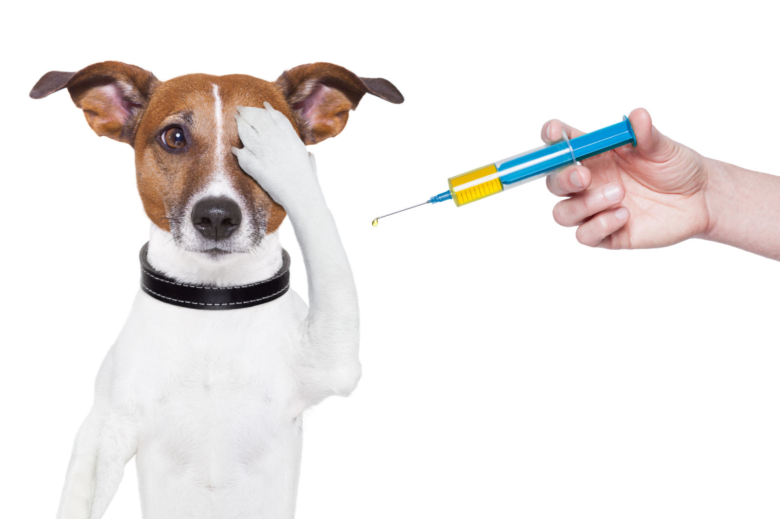 Vaccinatieadvies